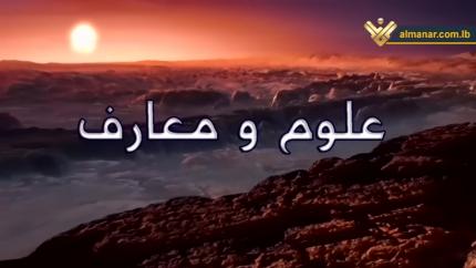 الحلقة 11