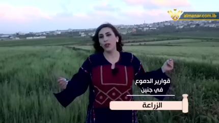 الحلقة 19