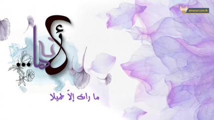 الحلقة 17