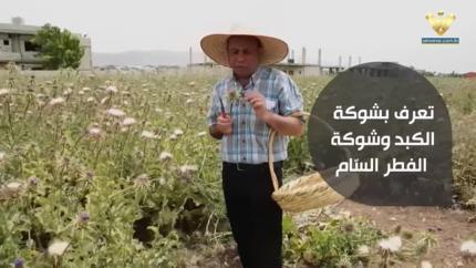 الحلقة 3