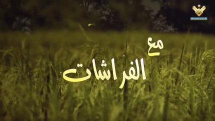 مسلسل مع الفراشات