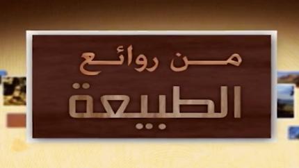 من روائع الطبيعة