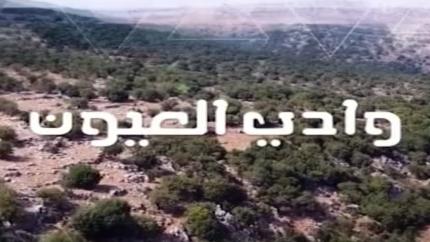 وادي العيون