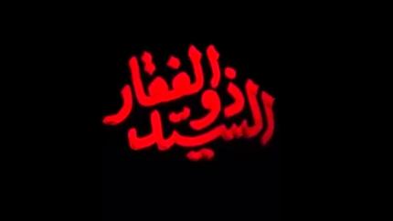 ولا تكتب مراسيم النصر الا بالدماء / السيد ذوالفقار