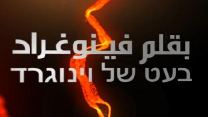 بقلم فينوغراد